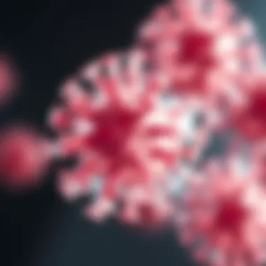 Magnificent Acyclovir Oral: Understanding Its Role in Viral Infections Magnificent Acyclovir Oral: Understanding Its Role in Viral Infections