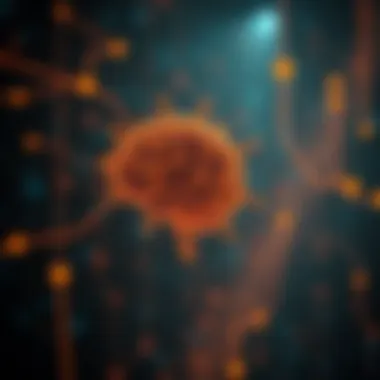 Magnificent The Interplay of Data and Machine Learning: A Comprehensive Exploration