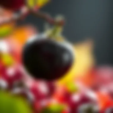 Magnificent The Role of Anthocyanin Foods in Human Health