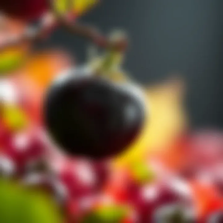 Magnificent The Role of Anthocyanin Foods in Human Health