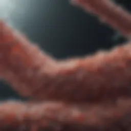 Innovative therapies in colon cancer