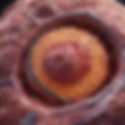 Pathophysiology overview of advanced metastatic renal cell carcinoma