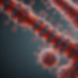 Structural representation of anti-Ha antibodies