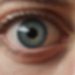 Illustration depicting the anatomy of the eye affected by traumatic glaucoma