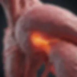 Diagram illustrating the pathways of anal cancer metastasis to the liver