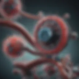 Mechanism of action of anti-androgens in prostate cancer treatment