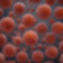 Illustration depicting the cellular structure of B-PLL