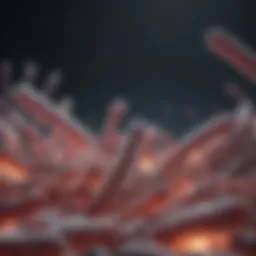 Overview of various online bacteria databases