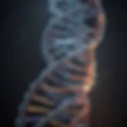 Illustration of a DNA double helix structure