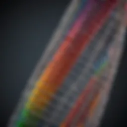 Detailed view of the Bio-Rad Dual Color Protein Ladder with labels