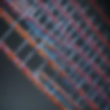 Practical application of the Dual Color Protein Ladder in a laboratory setting