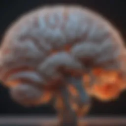 Detailed view of brain scan results