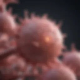 Cellular mechanisms involved in breast cancer progression