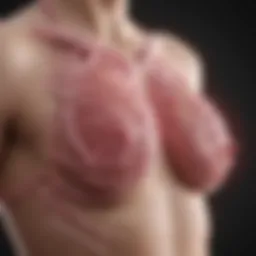 Diagram illustrating the pathway of breast cancer metastasis to the lungs