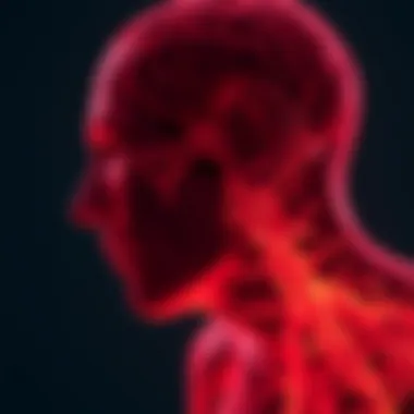 Chronic Pain: Understanding the Complex Nature of Suffering Summary