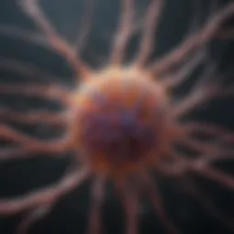 Neuronal pathways affected by CIDP