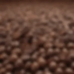 A close-up view of coffee beans showcasing their rich variety.