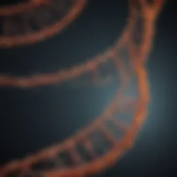 Visual representation of RNA-Seq data analysis workflow