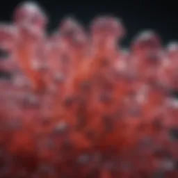 Crystal structure of benzoic acid showing its aromatic properties