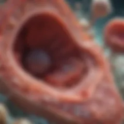 Microscopic view of kidney tissue highlighting pathological changes