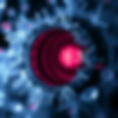 Advanced applications of confocal optics in biological imaging