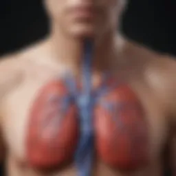 Diagram illustrating physiological mechanisms of congestion in heart failure