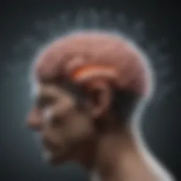 Neuroscience illustration depicting brain activity related to schizophrenia.