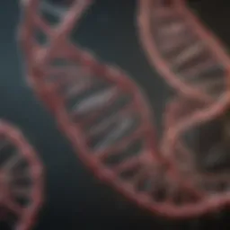 Representation of DNA damage response mechanisms