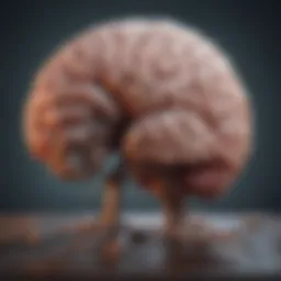 A brain illustration highlighting areas affected by dementia.