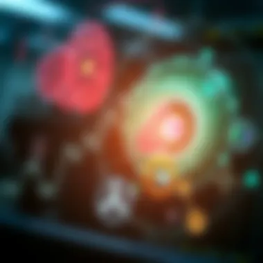 Visual representation of diagnostic tools for lupus