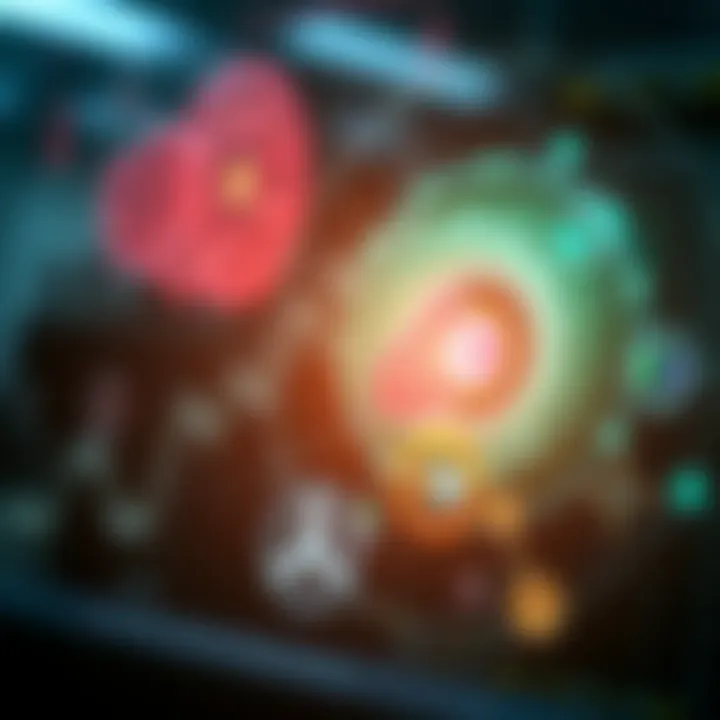 Visual representation of diagnostic tools for lupus