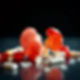 Dissolving Kidney Stones: Medication Options and Considerations Introduction