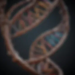 An illustration showing a DNA double helix structure, symbolizing genetic ancestry