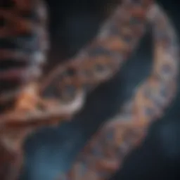 Illustration of DNA double helix structure