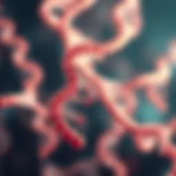 Representation of mRNA structure