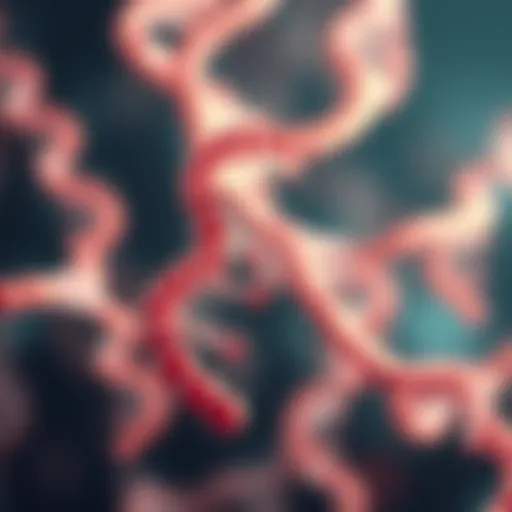 Representation of mRNA structure