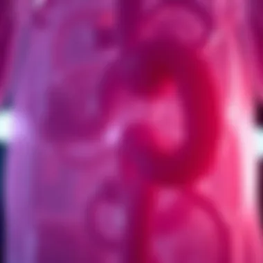 Notable Emerging Treatments for Metastatic Colorectal Cancer Notable Emerging Treatments for Metastatic Colorectal Cancer