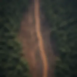 Aerial view of deforestation showing stark land-use change.