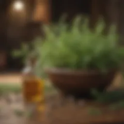 A symbolic representation of alternative cancer treatments with herbs and natural remedies