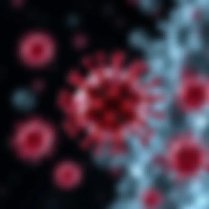 Representation of BMECs in immune response mechanisms