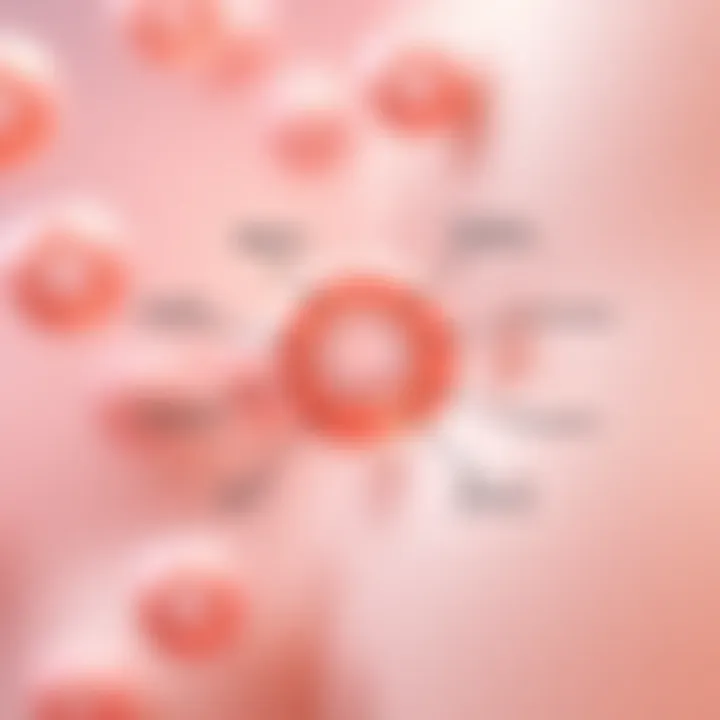 Diagram illustrating the role of BMECs in lactation