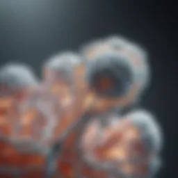 Illustration of calcium ATPase structure