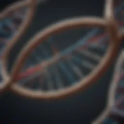 Illustration of DNA double helix structure