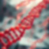 Exploring DNA Labeling: Techniques, Applications, and Implications Introduction