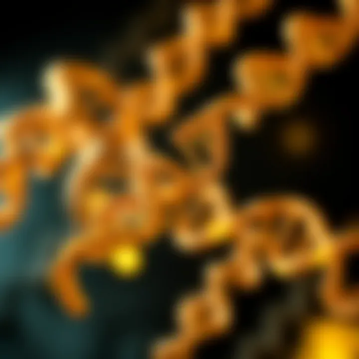 Exploring DNA Labeling: Techniques, Applications, and Implications Summary Exploring DNA Labeling: Techniques, Applications, and Implications Summary