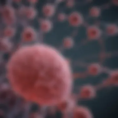 Clinical Outcomes of Targeted Therapies Graph depicting the clinical outcomes of therapies targeting estrogen receptors