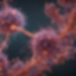 Diagram illustrating estrogen signaling pathways in lung cancer cells