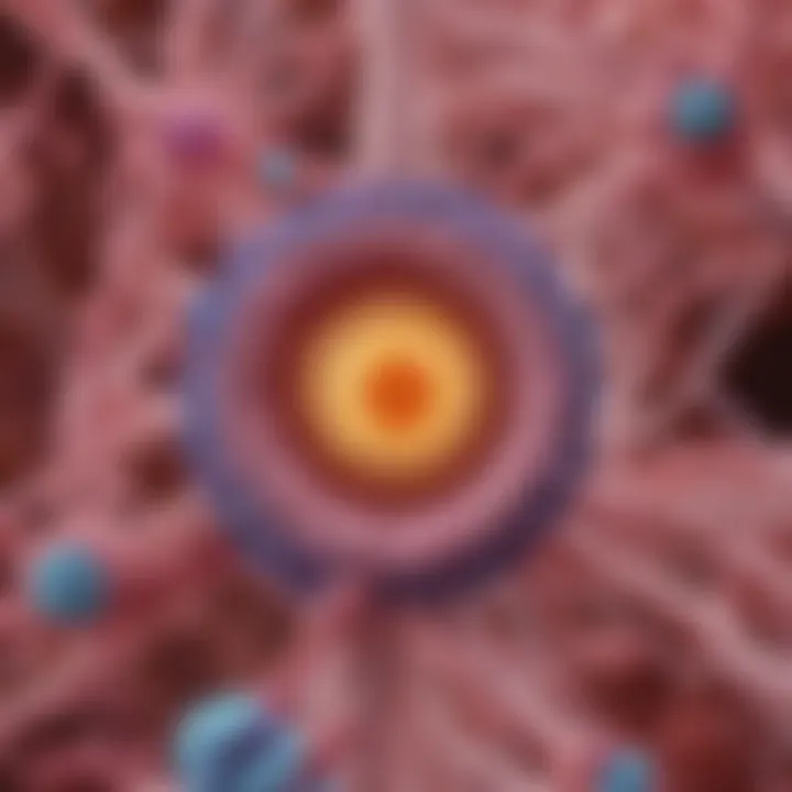 Illustration of the relationship between estrogen receptors and tumor behavior