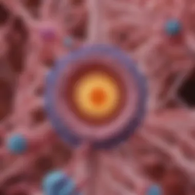 Estrogen Receptors and Tumor Behavior Illustration of the relationship between estrogen receptors and tumor behavior