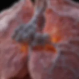 Genetic diagram illustrating familial lung cancer risk